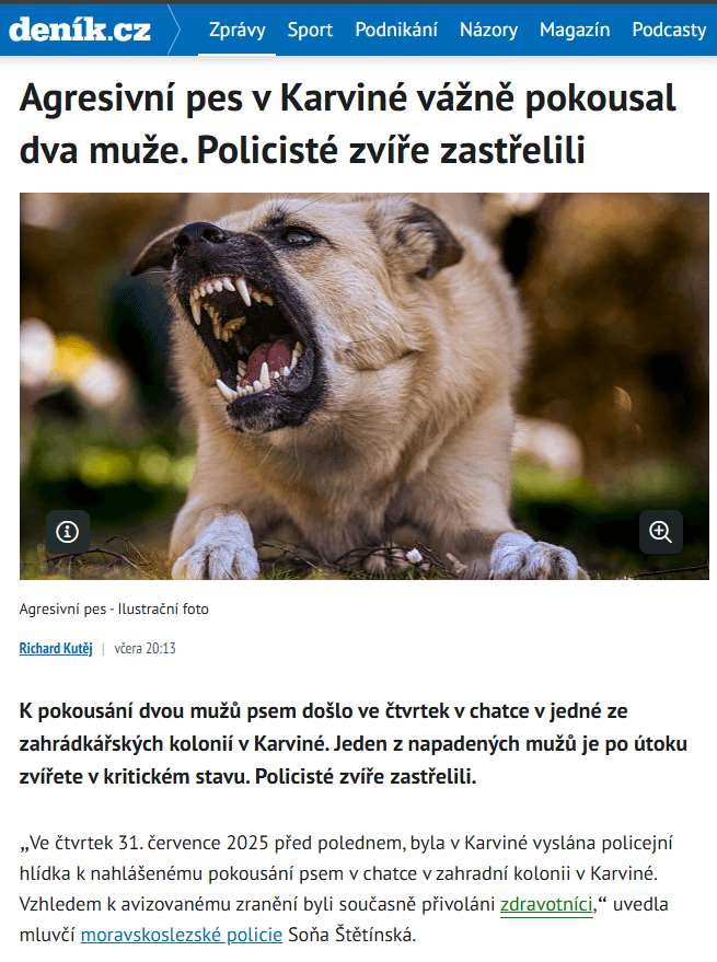 Sie sind in der Position eines Polizisten. Schießen Sie einen aggressiven Hund? Oder warten Sie bis 19:30 Uhr, um Liebe zu finden?