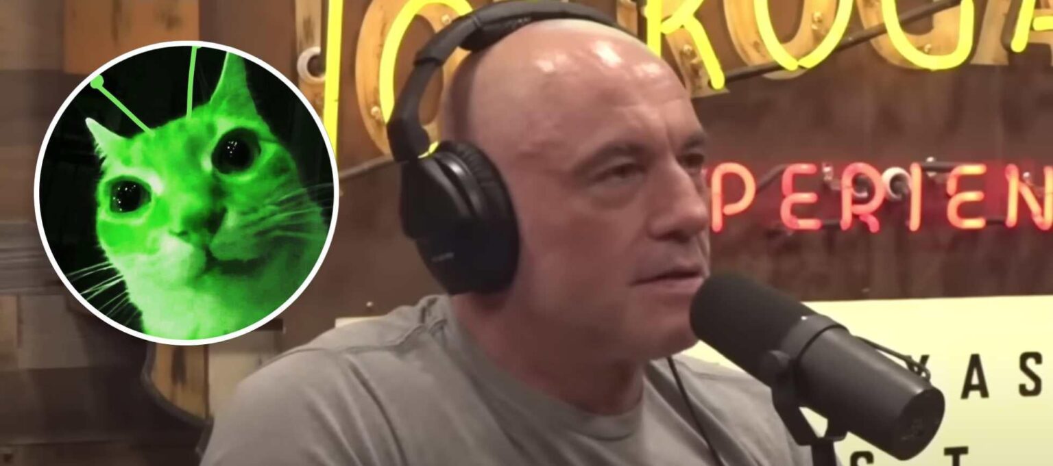 Joe Rogan gibt zu, dass er glaubt, dass Regierung Pflanzen in seinen Podcast schickt, um Aliens zu sprechen