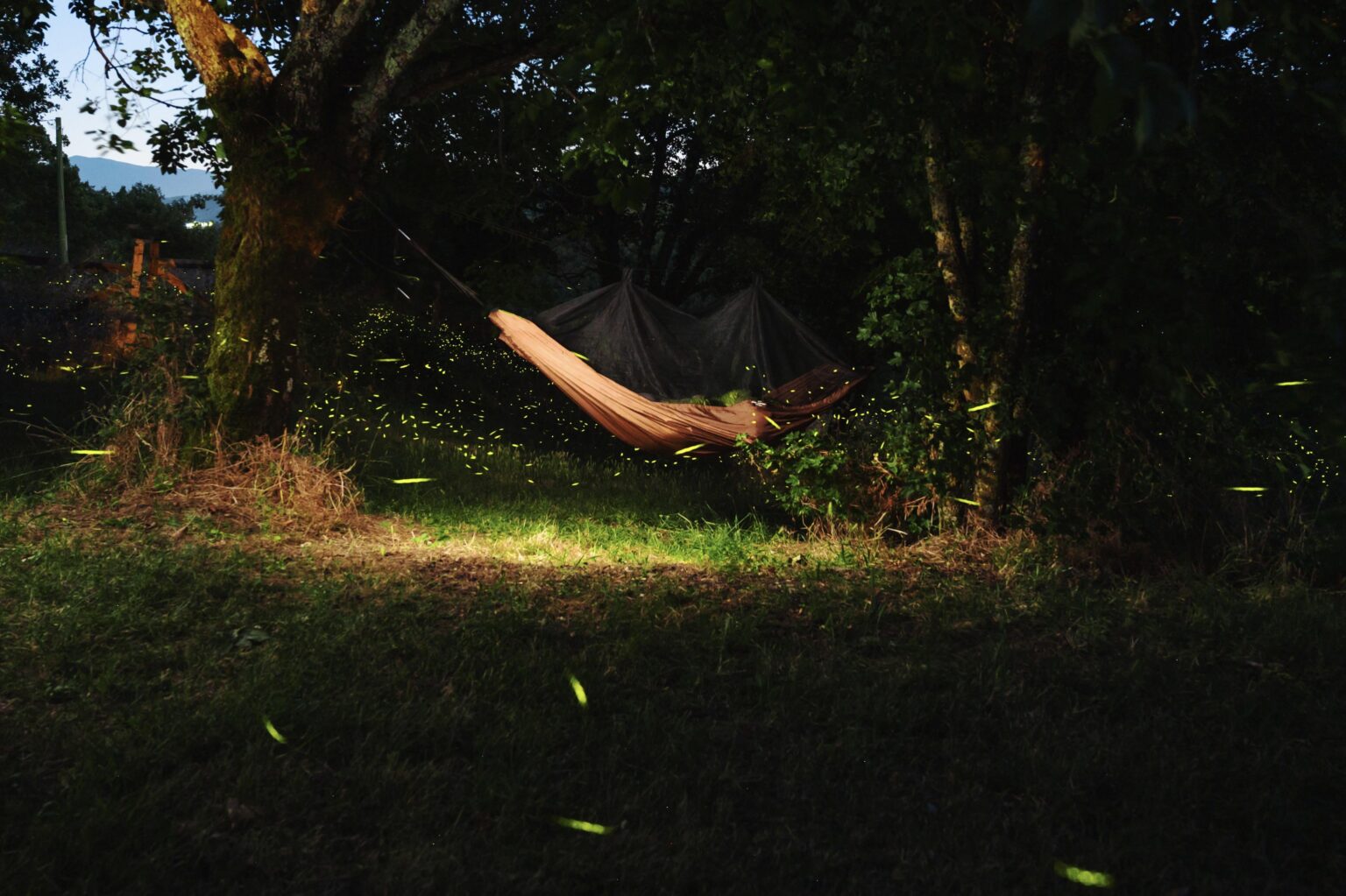 Im Freien in einem Firefly Forrest schlafen