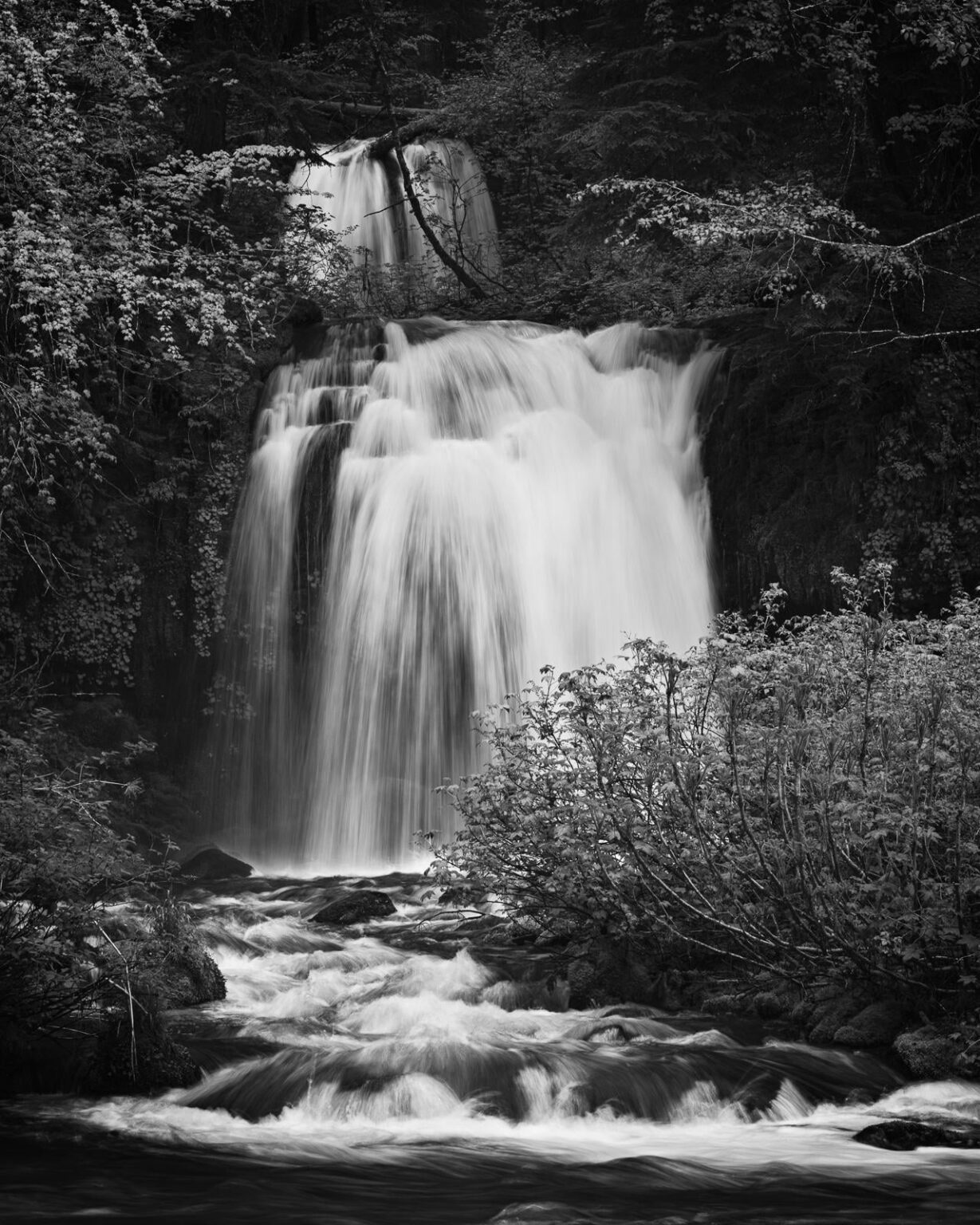Kaskadenwasser, Twin Falls, Washington [OC] [1280x1600]