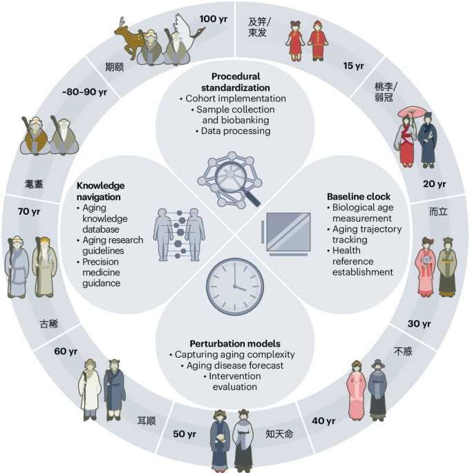 Das X-EAGE-Projekt zum Bau einer chinesischen Alternuhr (Li, Jiang, et al., 2025)