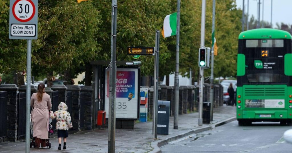 Gardaí und Beamte treffen sich über nicht autorisierte Tricolor -Flaggen in Dublin