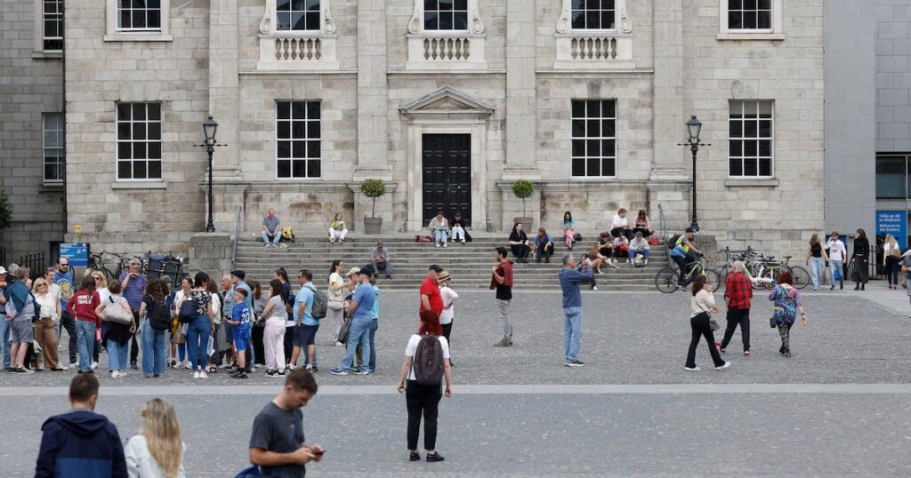Meinung: Wir sind Dozenten am Trinity College Dublin. Es liegt in unserer Verantwortung, KI zu widerstehen Meinung: Wir sind Dozenten am Trinity College Dublin. Es liegt in unserer Verantwortung, KI zu widerstehen