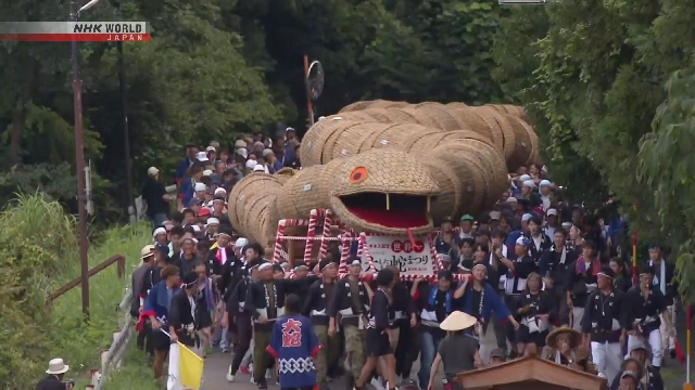 Riesenschlange aus Stroh und Bamboo, die beim Niigata Festival vorgeführt wurden