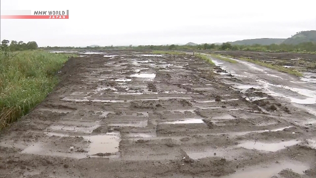 Die Hakenregierung. Dreht zum Stillstand zum Solarprojekt in der Nähe von Kushiro Wetland
