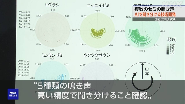 Forscher in Japan entwickeln KI, um Lieder verschiedener Zikadenarten zu identifizieren