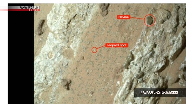 Die NASA sagt, ein mögliches Zeichen des alten mikrobiellen Lebens auf dem Mars zu finden