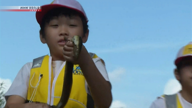 Schulkinder in Zentraljapan geben traditionelles Aalfischen einen Versuch