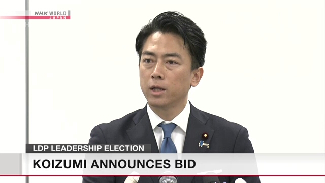 Koizumi kündigt das Angebot für LDP -Führung an