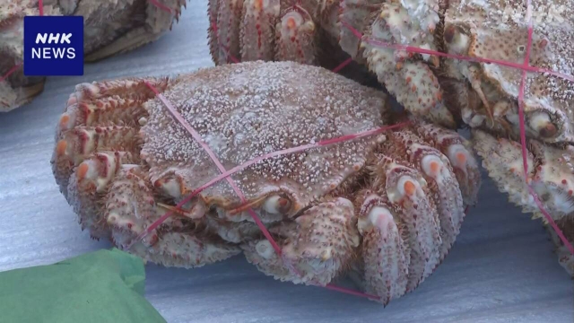 Veranstaltung in Hokkaido Town, um saisonale Spezialitäten zu fördern