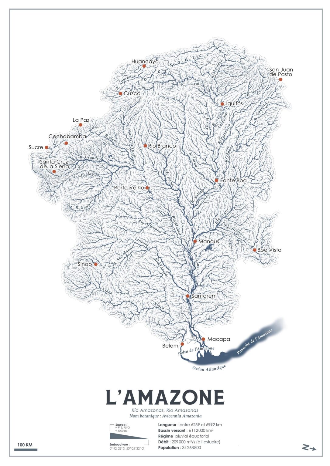 Was ist, wenn Flüsse sich in Bäume verwandelten? (1/24) Ich präsentiere Ihnen den Amazon Mangrovenbaum Avicennia Amazonia [OC]