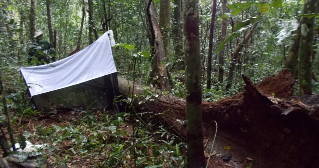 Eine Studie über die biologische Vielfalt des Kibale -Nationalparks in Uganda wirft neues Licht auf die Erhaltung der dunklen biologischen Vielfalt und zeigt, wie die Vielfalt in verschiedenen Lebensräumen verteilt wird. Die dunkle Artenvielfalt bezieht sich auf schlecht bekannte oder unbekannte Artenvielfalt und ist besonders in tropischen Wäldern häufig. Eine Studie über die biologische Vielfalt des Kibale -Nationalparks in Uganda wirft neues Licht auf die Erhaltung der dunklen biologischen Vielfalt und zeigt, wie die Vielfalt in verschiedenen Lebensräumen verteilt wird. Die dunkle Artenvielfalt bezieht sich auf schlecht bekannte oder unbekannte Artenvielfalt und ist besonders in tropischen Wäldern häufig.