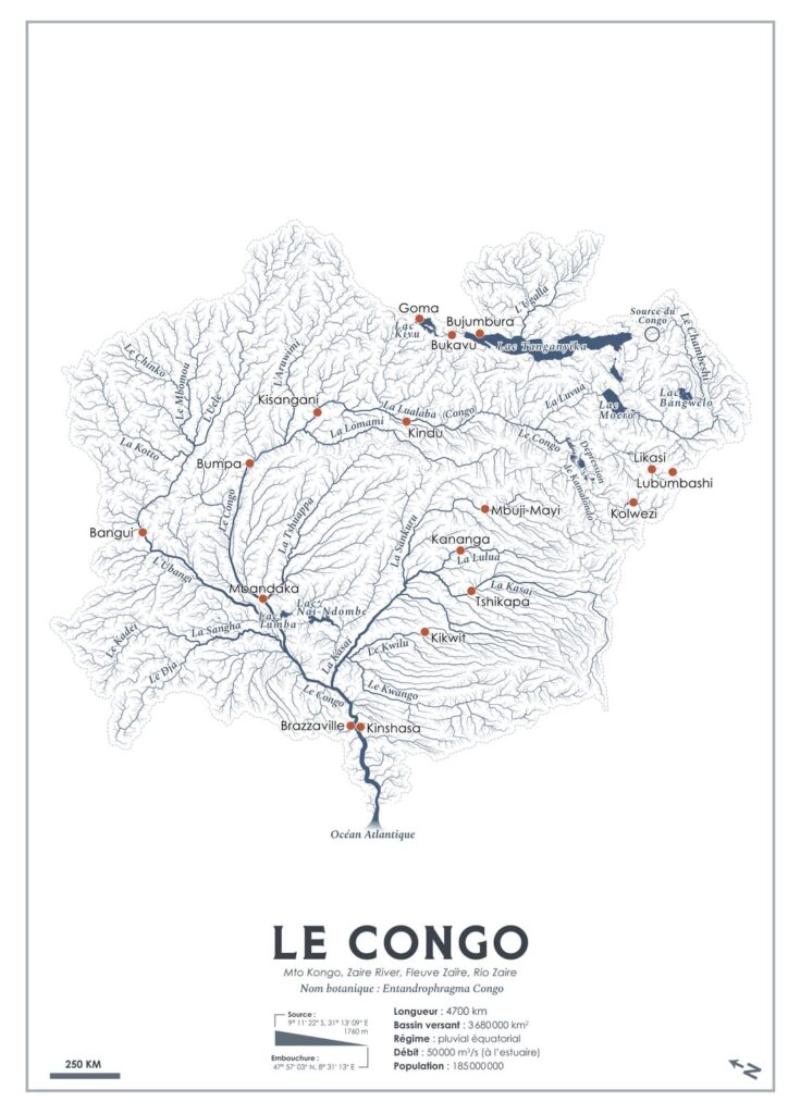 Was ist, wenn Flüsse sich in Bäume verwandelten? (2/24) Ich präsentiere dir den Kongo Sapele Tree, entandrophragma Kongo [OC]