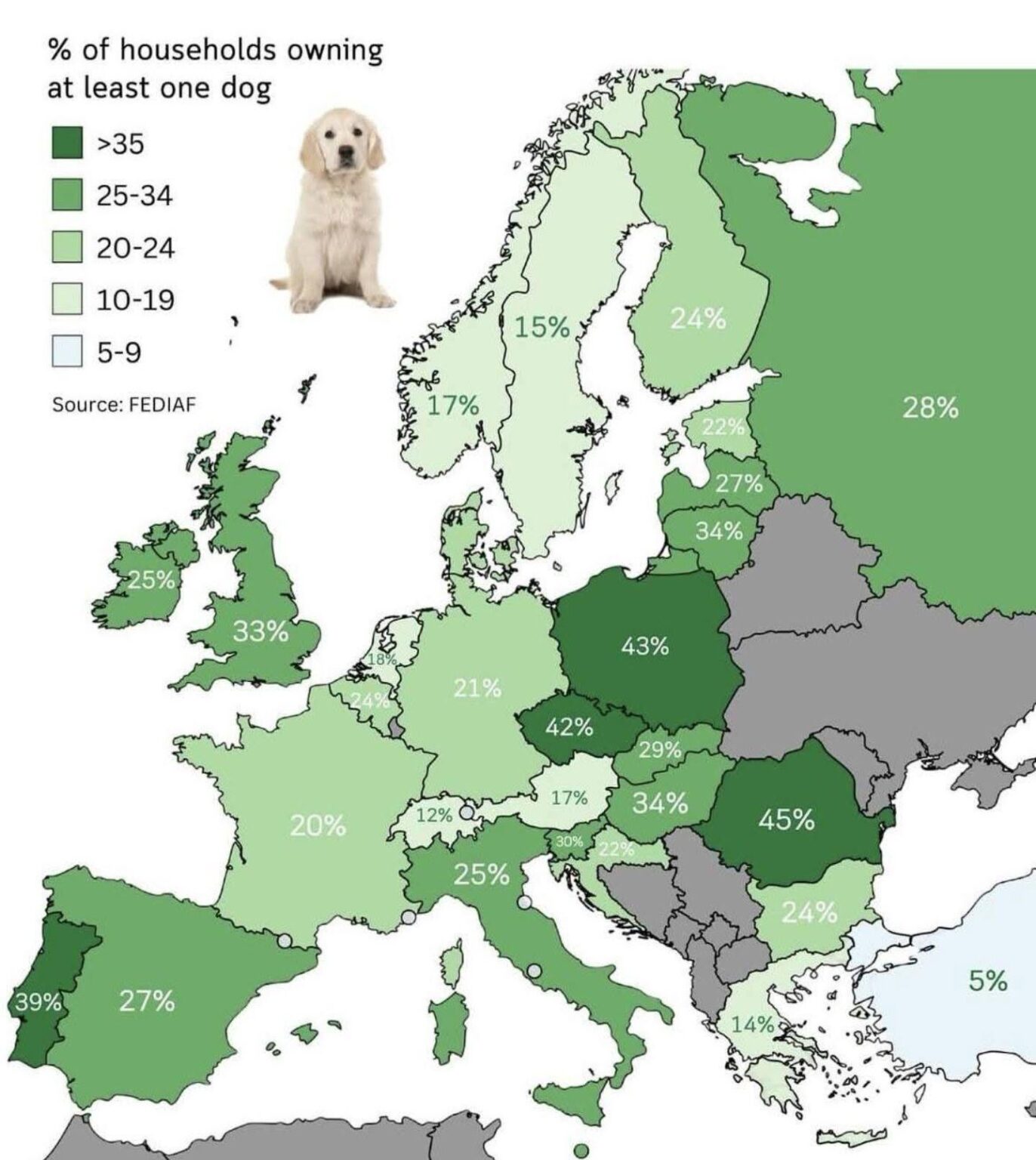 Prozentsatz der Haushalte in Europa, die mindestens einen Hund besitzen