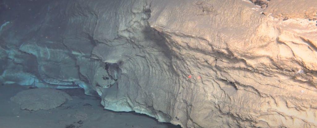 Ein von Menschen besetzter Fahrzeug, das den tiefen Pazifischen Ozean untersucht, hat Filmmaterial eines massiven hydrothermalen Feldes für unterwältiger Unterwasser aufgenommen. Das neue System mit dem Namen Kunlun Hydrothermal Field ist mehr als 100x größer als die "Lost City" des Atlantiks Ozean