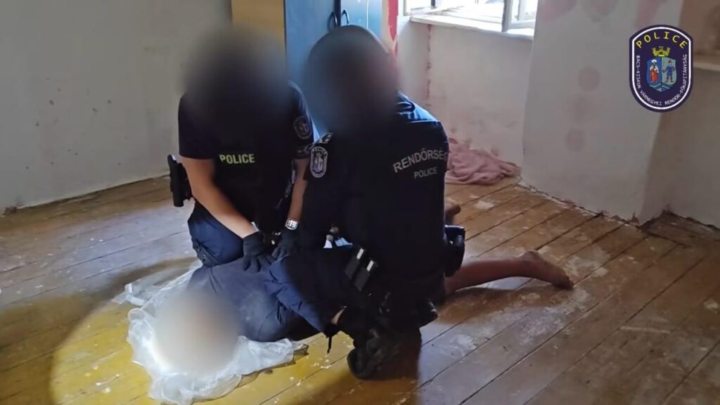 Home: Miskei Kindermord: 28 Beauftragte Anwälte baten um die Verteidigung des Verdächtigen Home: Miskei Kindermord: 28 Beauftragte Anwälte baten um die Verteidigung des Verdächtigen
