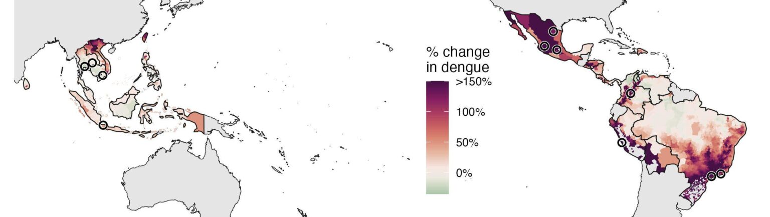 Das Erwärmen des Klimas treibt den Dengue-Anstieg in Asien und Amerika an, eine von Mücken übertragene Krankheit, die einst weitgehend auf die Tropen beschränkt ist. Fälle von Dengue könnten bis 2050 in einem großen Teil Asiens und Amerikas um bis zu 76% steigen. Das Erwärmen des Klimas treibt den Dengue-Anstieg in Asien und Amerika an, eine von Mücken übertragene Krankheit, die einst weitgehend auf die Tropen beschränkt ist. Fälle von Dengue könnten bis 2050 in einem großen Teil Asiens und Amerikas um bis zu 76% steigen.