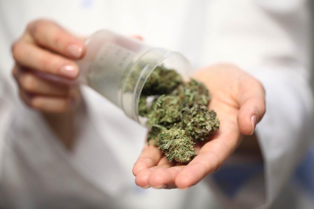 90% der Deutschen erhalten jetzt ihr Cannabis aus rechtlichen Quellen, wie Umfrage zeigt