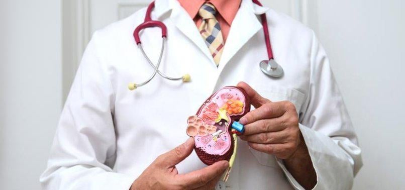 Kanadische Wissenschaftler entdecken kidney-schützende microRNA