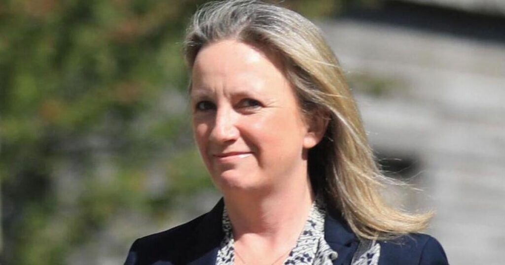 Catherine Connolly "hat nicht" Gemma O'Dohertys Angebot für Präsidentschaft unterstützt, als sie sie nominierte