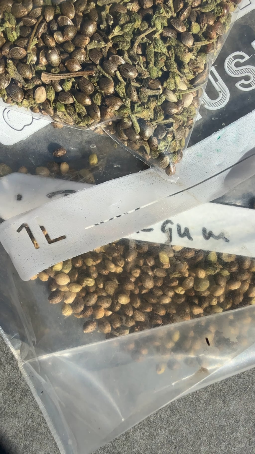 1 Cannabis