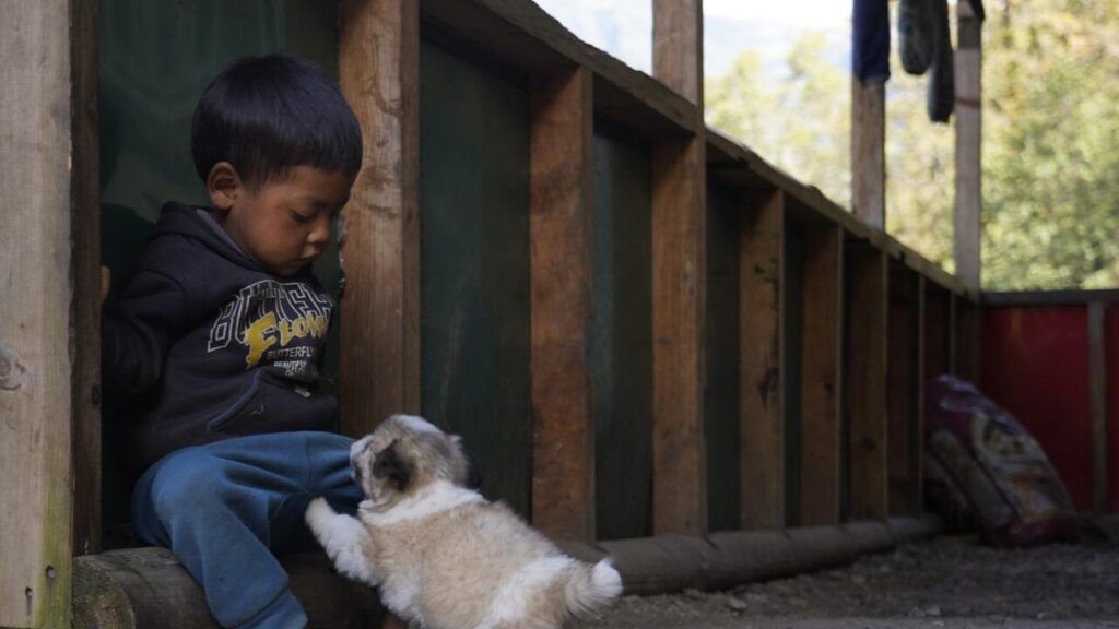 In Nepal ist Rumänien als das Land bekannt, das ausländische Arbeitnehmer sehr gut behandelt! In Nepal ist Rumänien als das Land bekannt, das ausländische Arbeitnehmer sehr gut behandelt!
