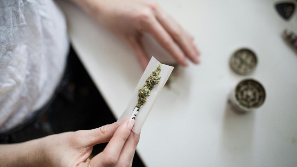Chemikalien in Marihuana können die Fruchtbarkeit der Frauen beeinflussen | THC mag Eier dazu drängen, zur Befruchtung bereit zu werden, aber eine neue Studie ergab, dass künstlich reifte Eier der Chemikalie ausgesetzt waren, sie oft die falsche Anzahl von Chromosomen hatten Chemikalien in Marihuana können die Fruchtbarkeit der Frauen beeinflussen | THC mag Eier dazu drängen, zur Befruchtung bereit zu werden, aber eine neue Studie ergab, dass künstlich reifte Eier der Chemikalie ausgesetzt waren, sie oft die falsche Anzahl von Chromosomen hatten