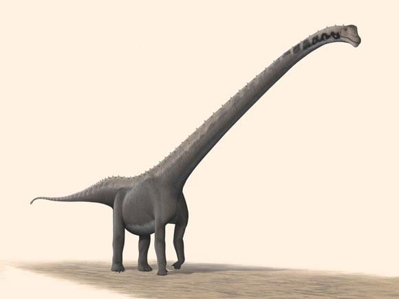 Neue pflanztefressende Dinosaurierarten enthüllt