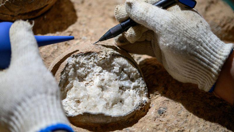 Dinosaurier -Eier aus China waren laut "Atomic Clock" -Dating rund 86 Millionen Jahre alt