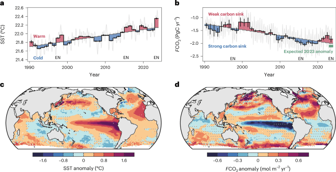 Trotz der Erwartungen, dass wärmere Meere mehr CO2 aufnehmen würden, nahm der globale Ozean 10% weniger als im Jahr 2023 vorhergesagt.
