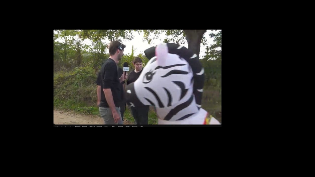 Versäumte es, die Zebras zu verbergen;)