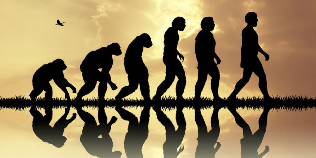 Viele Amerikaner lehnen die wissenschaftliche Evolutionstheorie ab, wobei der biblische Literalismus ein Schlüsselfaktor dieser Ablehnung vorantreibt. Das Auffrischen der biblischen Interpretation hilft religiösen Studenten, die Evolution ohne offensichtlichen Verlust der Religiosität zu akzeptieren. Viele Amerikaner lehnen die wissenschaftliche Evolutionstheorie ab, wobei der biblische Literalismus ein Schlüsselfaktor dieser Ablehnung vorantreibt. Das Auffrischen der biblischen Interpretation hilft religiösen Studenten, die Evolution ohne offensichtlichen Verlust der Religiosität zu akzeptieren.