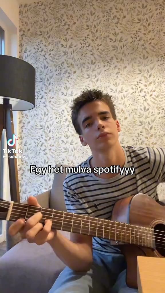 Der Sohn von Katalan Novák singt aus Brüssel und spricht auch ihre Mutter an: "Ich habe die Dokumente in das Regal aufgestellt."