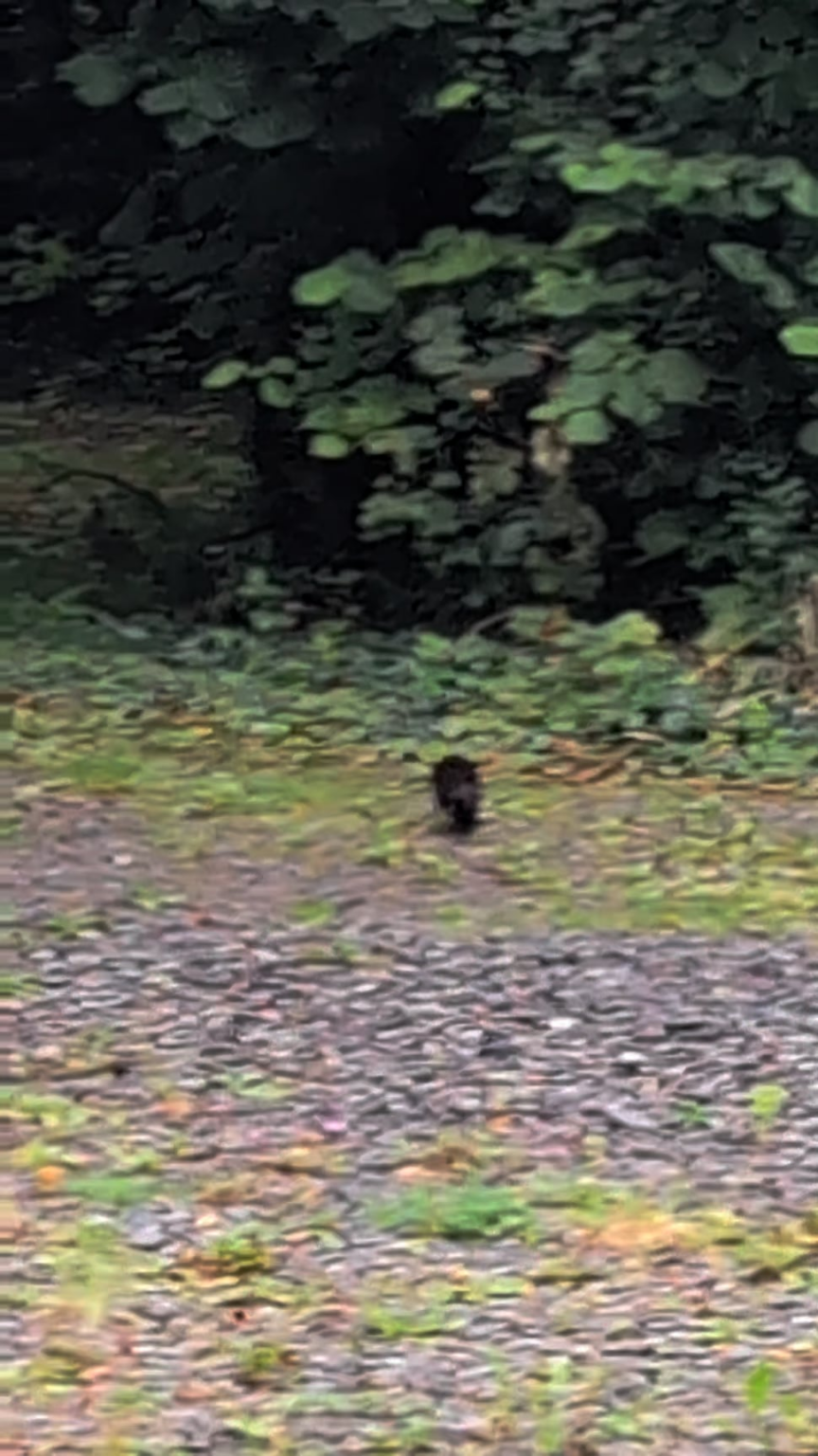Weiß jemand was das sein könnte?