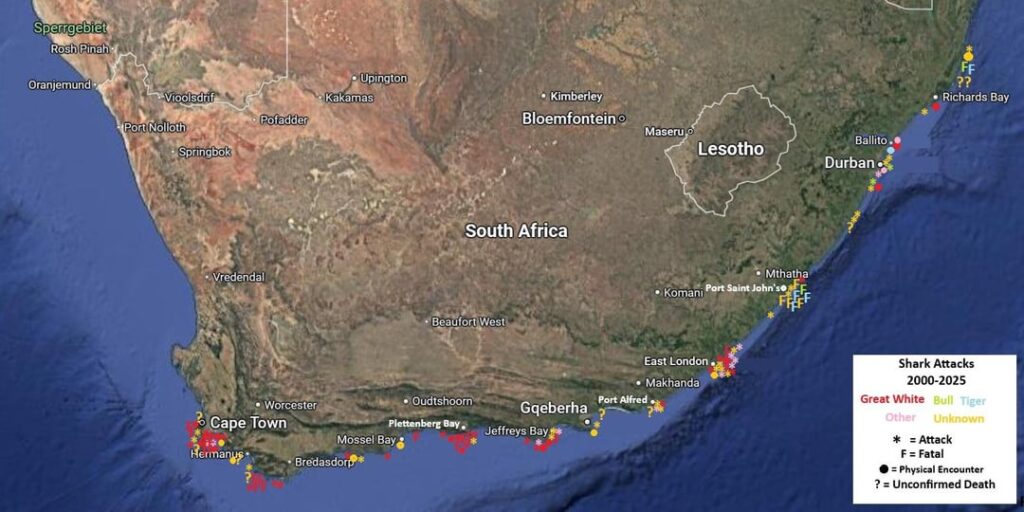 Hai -Angriffe 2000 - 2025 Südafrika