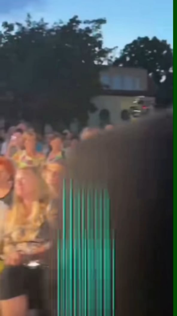 Fragte ein Krieger MP wieder ... sind sie irgendwo irgendwo gezüchtet? Wie können Sie so typisch aussehen wie ein Fidesz -Wähler?