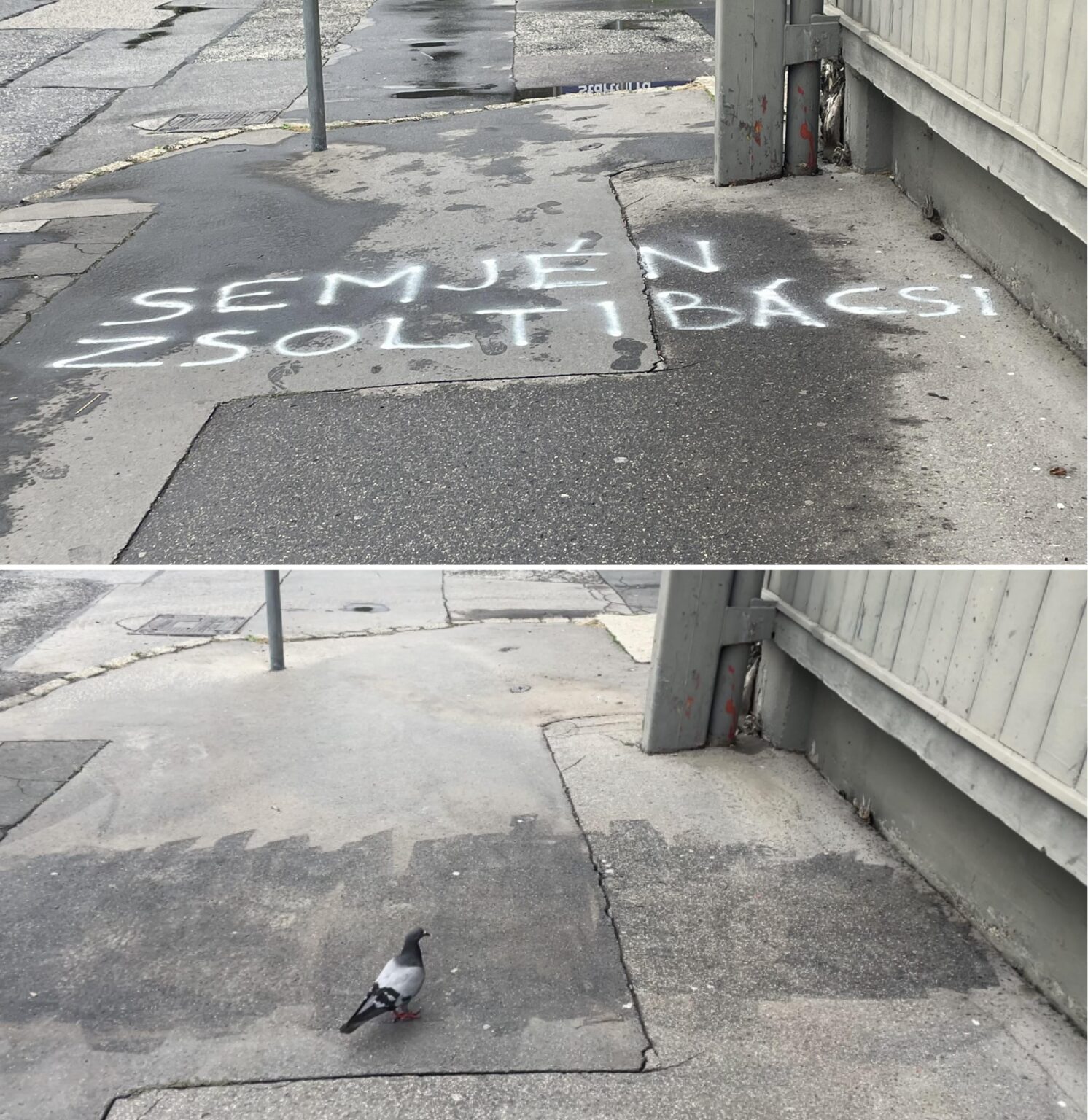 AKTUALISIEREN! In etwa 24 Stunden wurde Graffiti in der Szőlő Street beseitigt, und sogar die Taube war überrascht. Sie Jungs wissen, ob Sie wollen!