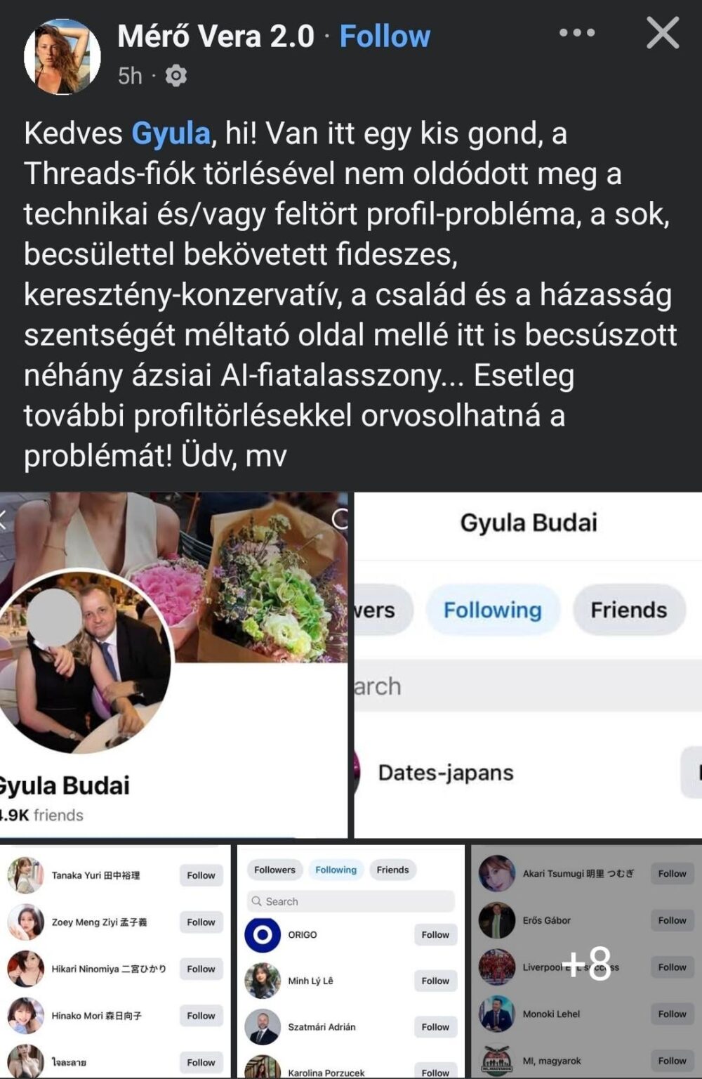 Budai Gyuribá Update: Thread -Konto gelöscht