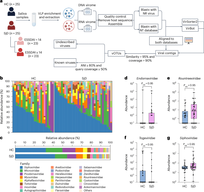 Vientovirus Capsid Protein ahmt Autoantigene nach und trägt zur Autoimmunität bei der Sjögren -Krankheit bei