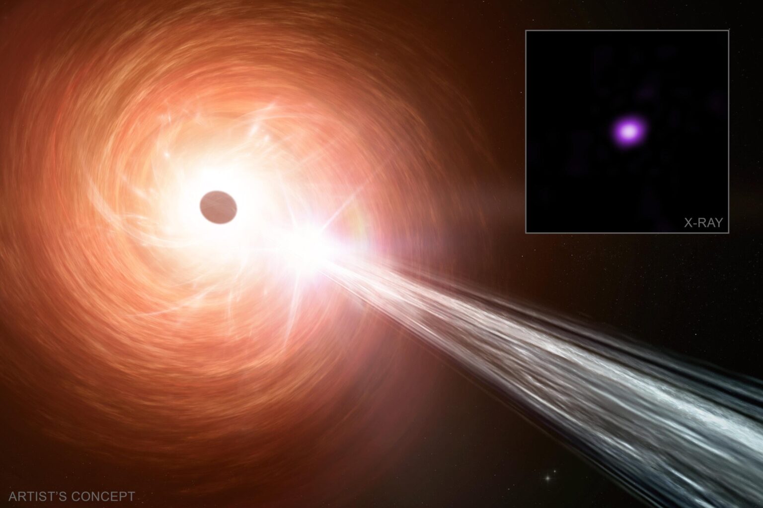 Chandra findet das Schwarze Loch, das um das 2,4 -fache der Eddington -Grenze wächst