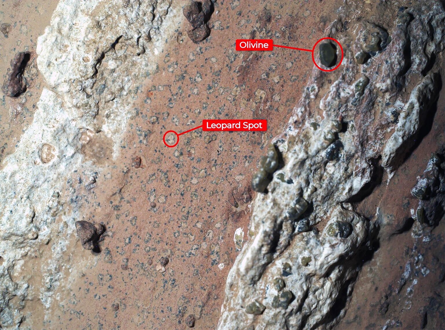 Die NASA kündigt die Entdeckung des Lebens auf dem Mars mit hohem Vertrauen an