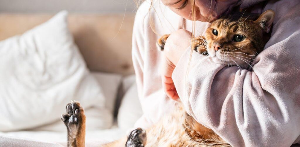 Was der Besitz einer Katze mit Ihrem Gehirn (und ihrem) macht