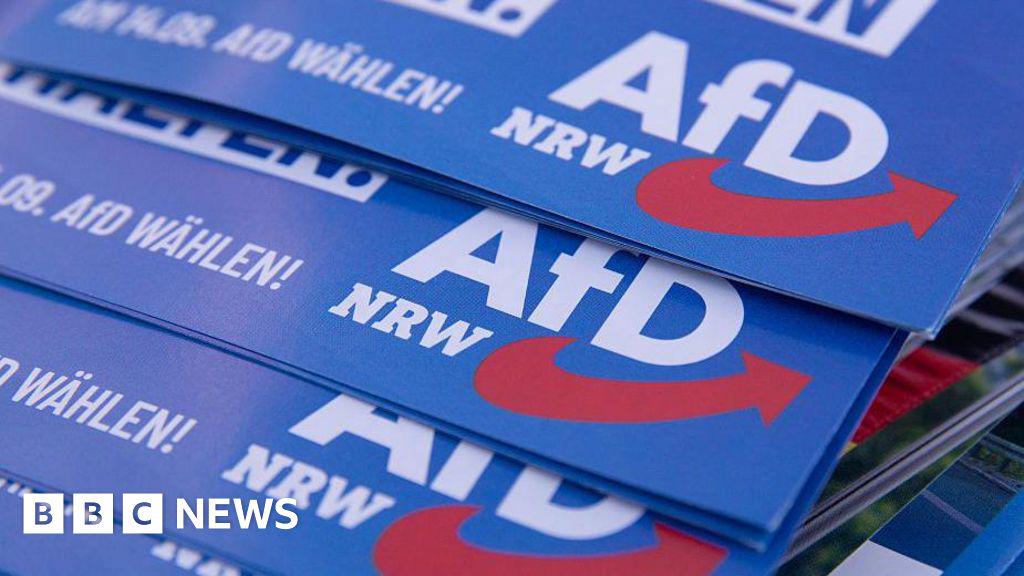 Deutschlands rechtsextremer AFD leidet vor der örtlichen Abstimmung eine Reihe von Todesfällen von Kandidaten vor Ort