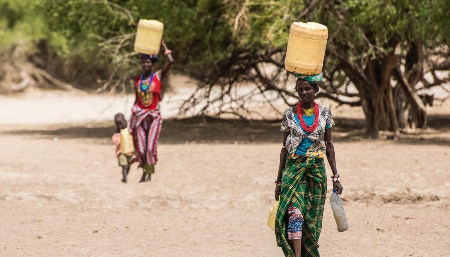 Die Turkana-Leute konsumieren eine tierische Ernährung an einem der heißesten und trockensten Orte der Erde. Wissenschaftler entdeckten die genetische Variation hinter dieser Wüstenanpassung. Eine spezifische genetische Variation hat es ihren Nieren ermöglicht, Urin zu konzentrieren, so dass sie weniger Wasser beseitigen.