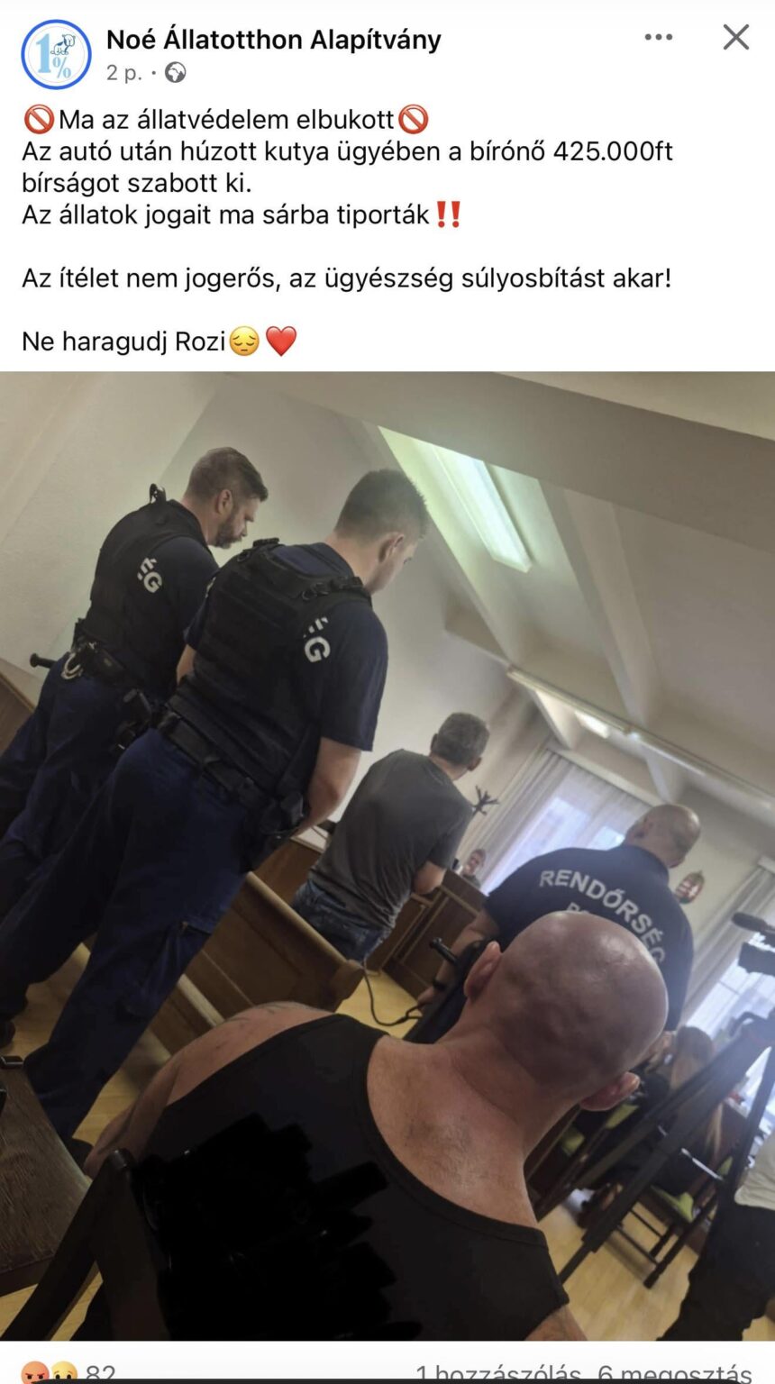 Es ist schwer zu sagen :(