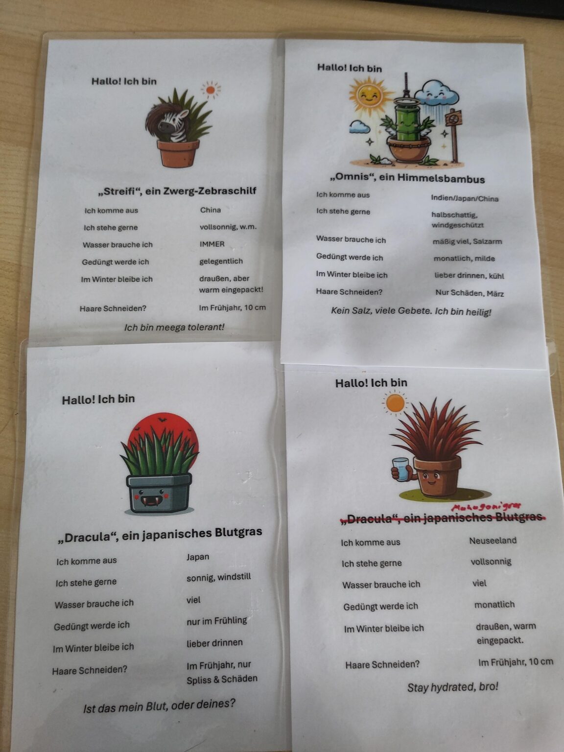 Ich habe Übersichtskarten für meine Pflanzen gestaltet und laminiert.