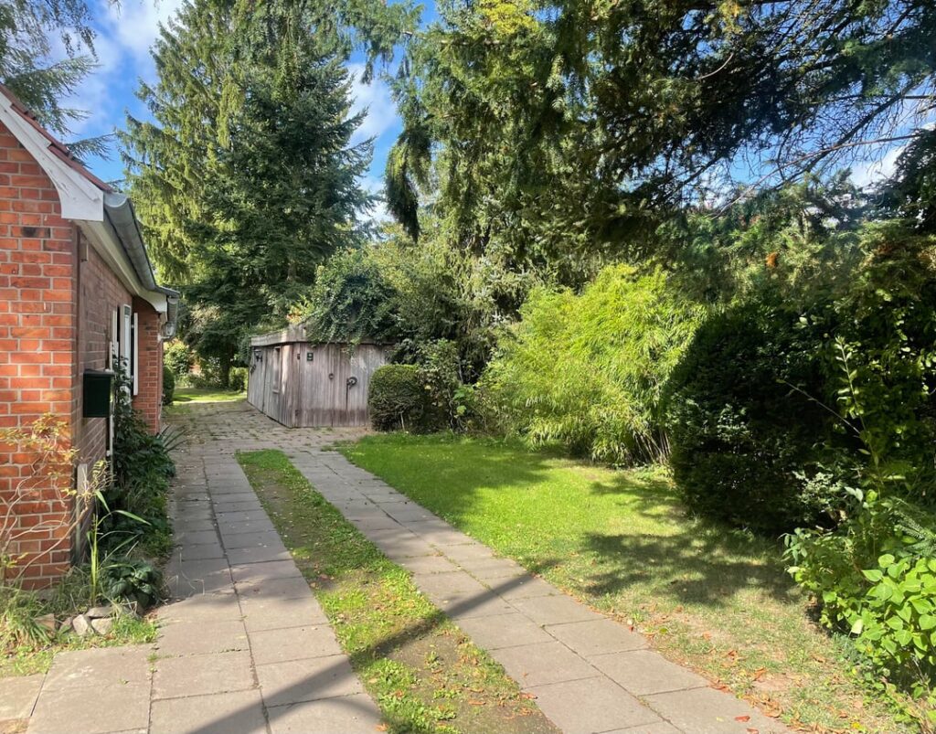 Vor dem Bambus des Nachbarn eine Hecke pflanzen… Aber welche? Vor dem Bambus des Nachbarn eine Hecke pflanzen… Aber welche?