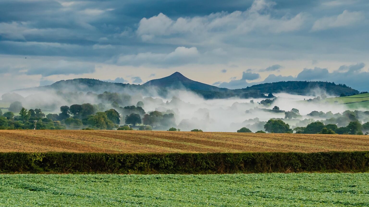 Wunderbarer Wicklow