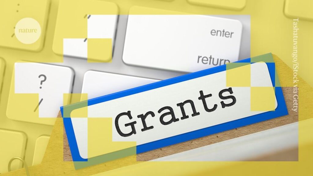 Wenn KI Ihren Zuschussvorschlag ablehnt: Algorithmen tragen dazu bei, Finanzierungsentscheidungen zu treffen