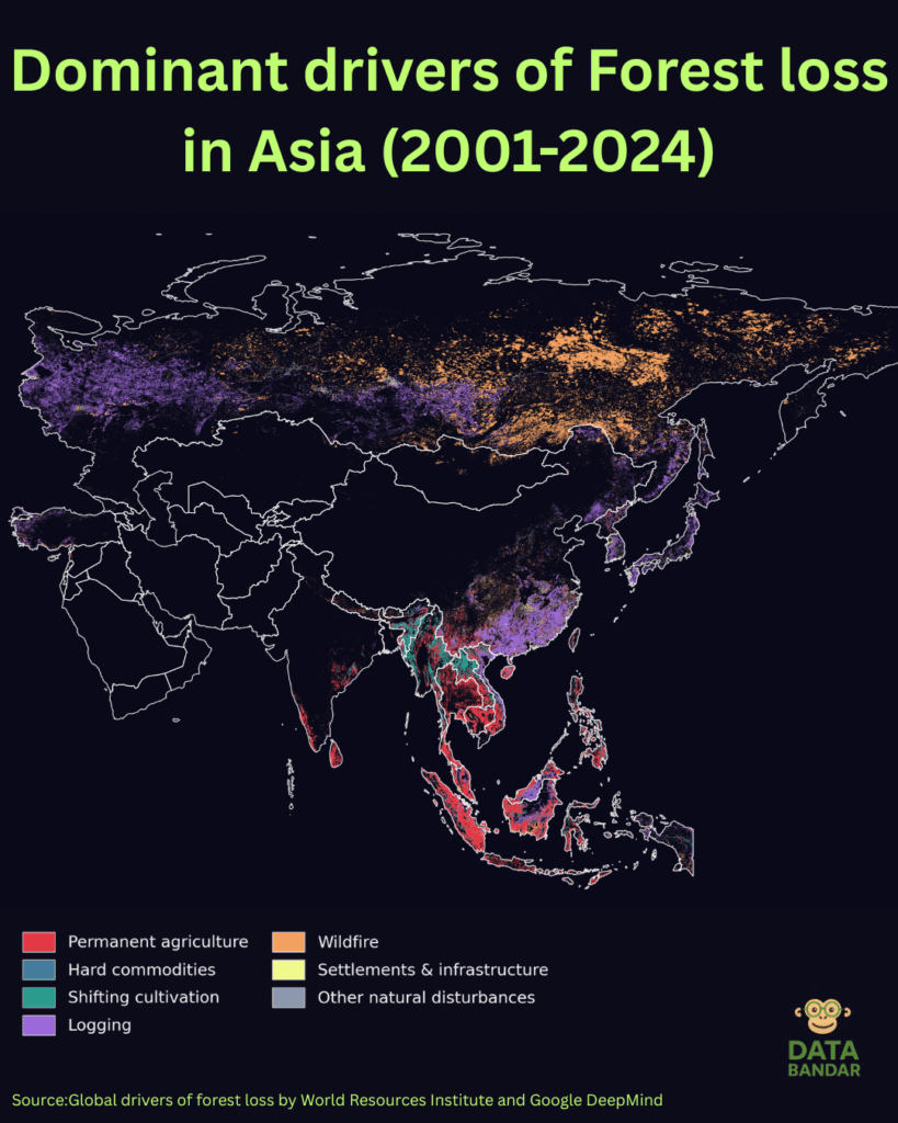 Dominante Treiber des Waldverlusts in Asien von 2001 bis 2024 [OC]